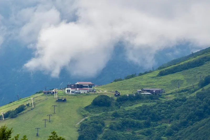 Casas en una ladera verde del campo